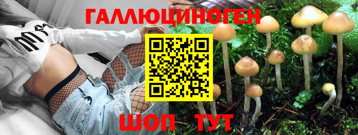Псилоцибиновые грибы Magic Shrooms  Вход с VPN  Семилуки 